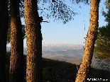 Akkarian mountains , from the pin forest of Gebrayel , Akkar