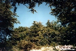 Arz el Barouk