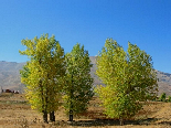 Automn Scenic View , Al Arz , Becharri , North Lebanon