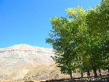 Automn Scenic View , Al Arz , Becharri , North Lebanon