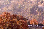 Automn in Ehden