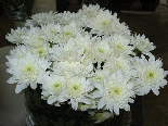 Bouquet White