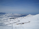 Cedars Slopes