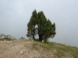 Solo in El Kamoua National Park In Spring , Akkar