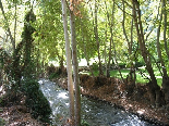 Estwan River , Deir Jannin