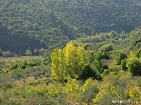 Golden Grounds , Deir Jannin , Akkar