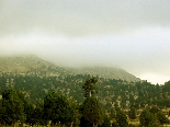 Haze filling the reserve , Kamoua