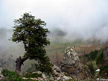 Haze In The Valley Below Nabaa Chouh Summit , Kamoua