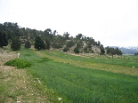 Kamoua National Park, The Biggest Forest In The Middle East - Kamoua Plains