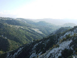 Koura Caza in North Lebanon