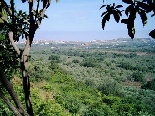 Koura Caza in North Lebanon