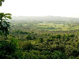 Koura Caza in North Lebanon