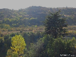 Lebanese Cedar Talking With Automn , Hadath Al Jobba , Becharri