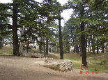 Cedars - Il Arz