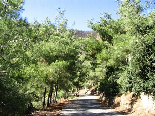 Road , Oudin Valley , Akkar