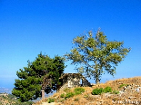 Ruins In Automn , Ehden , North Lebanon