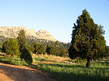 Kamoua National Park, The Biggest Forest In The Middle East - Sunset Time