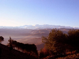 Scenic View from The Forest of Gebrayel