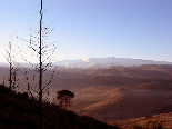 Scenic View from The Forest of Gebrayel