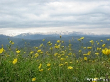 Scenic pic, Akkarian mountains, end of Winter