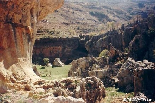 Tannourine