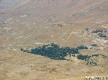 The Cedar Forest From Above