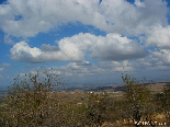 The Colors Of Automn In Akkar , North Lebanon