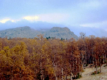 Automn in Lebanon