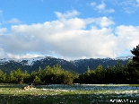 The Early Snows , Monte Verde