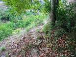 The Leaves Of Automn In My Village , Aadbel Akkar