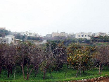 The Village of Karabach