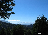 The Western Lebanese Cycle Of Mountains In Automn , From The Apies Forest