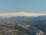 Cedars mountains