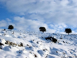 Trio in full snow