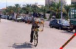 Tripoli