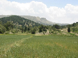 View Of The Pyramid From The Green Plaines