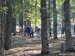 Youth Group Walking In The Iron Oak Forest