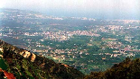 Zgharta