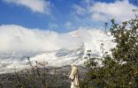 Bekaa Kafra Village - The Miraculous Road Of St. Charbel