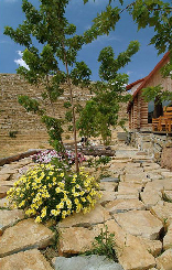 Cedars (Auberge des Cedres)