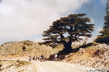 Cycling in barouq