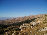 Ehden