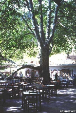 Ehden