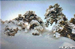 Kobayat