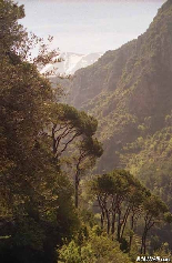 Qadisha Valley