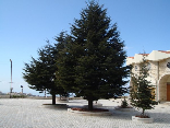 Mar Chabel - Saint Charbel