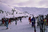 Skiing in Lebanon