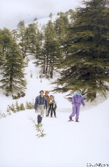 Snowshoeing in barouk