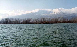 Taanayel Lac