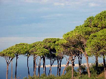 Al Meena View from Balamand Tripoli